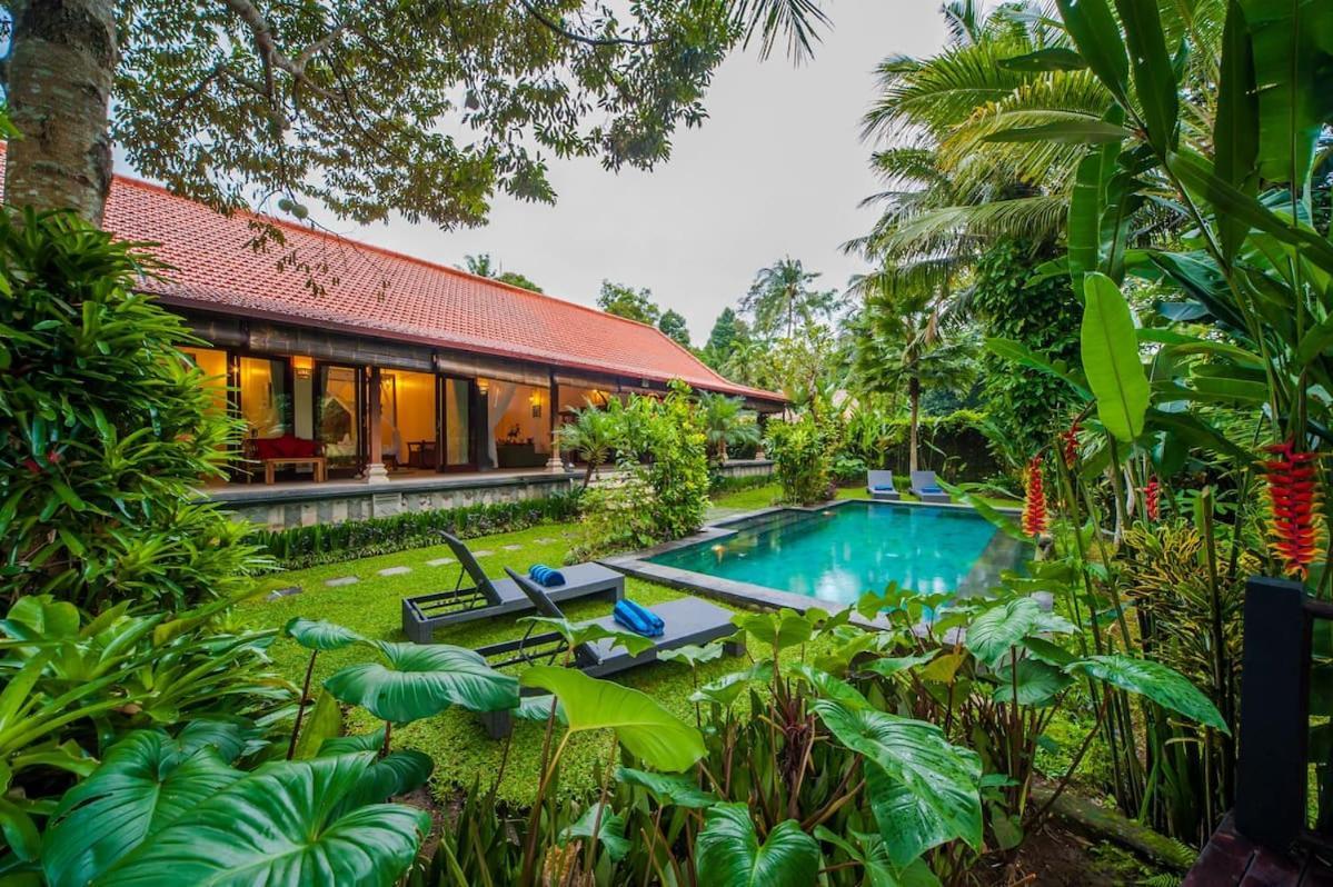 Luxury 3Br Infinity Jungle View Aashaya Villa Ubud Экстерьер фото