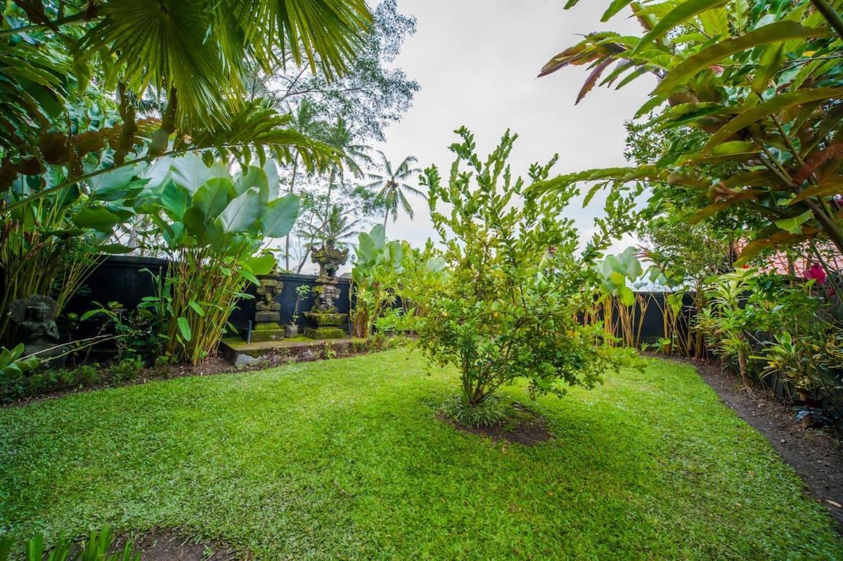 Luxury 3Br Infinity Jungle View Aashaya Villa Ubud Экстерьер фото